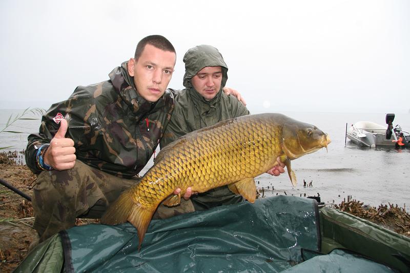 Green green grass of Bolsena